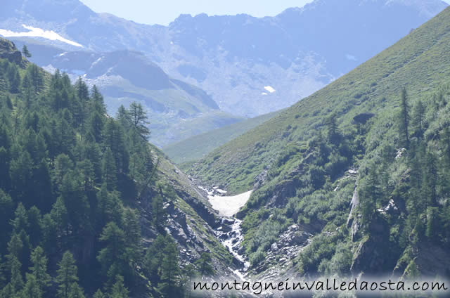 rifugio benevolo